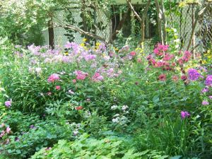 Victoria school garden 2014 028