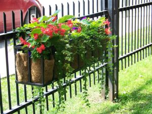 Victoria school garden 2014 030