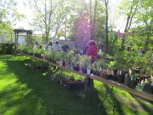 plant_sale_may_2015_photo3