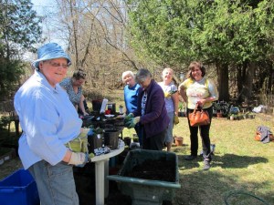 plant_sale_may_2015_photo5