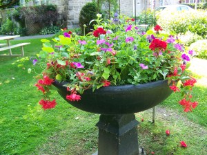 museum_garden_july_2015_002