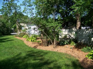 museum_garden_july_2015_003