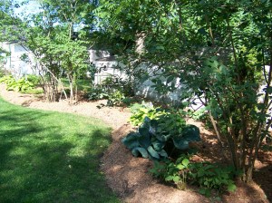 museum_garden_july_2015_004